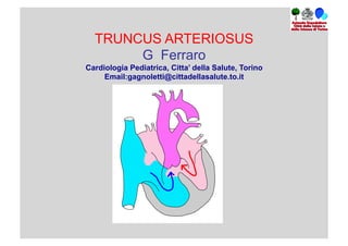 TRUNCUS ARTERIOSUS
G Ferraro
Cardiologia Pediatrica, Citta’ della Salute, Torino
Email:gagnoletti@cittadellasalute.to.it

 