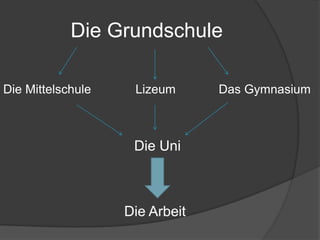 Die Grundschule
Die Mittelschule Das GymnasiumLizeum
Die Uni
Die Arbeit
 