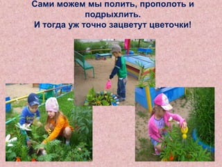 Сами можем мы полить, прополоть и
подрыхлить.
И тогда уж точно зацветут цветочки!

 