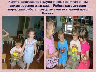 Никита рассказал об одуванчике, прочитал о нем
стихотворение и загадку. Ребята рассмотрели
творческие работы, которые вместе с мамой делал
Никита.

 