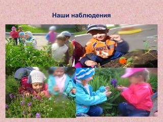 Наши наблюдения

 