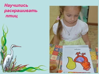 Научились
раскрашивать
птиц

 
