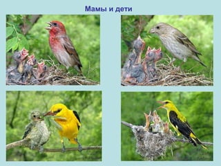 Мамы и дети

 