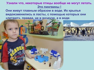 Узнали что, некоторые птицы вообще не могут летать.
Это пингвины !
Они живут главным образом в воде. Их крылья
видоизменились в ласты, с помощью которых они
«летают», правда, не в воздухе, а в воде.

 