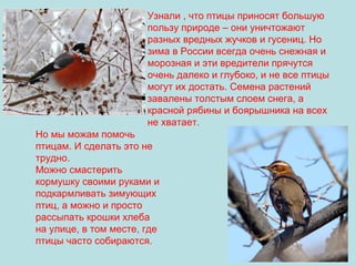 Узнали , что птицы приносят большую
пользу природе – они уничтожают
разных вредных жучков и гусениц. Но
зима в России всегда очень снежная и
морозная и эти вредители прячутся
очень далеко и глубоко, и не все птицы
могут их достать. Семена растений
завалены толстым слоем снега, а
красной рябины и боярышника на всех
не хватает.
Но мы можам помочь
птицам. И сделать это не
трудно.
Можно смастерить
кормушку своими руками и
подкармливать зимующих
птиц, а можно и просто
рассыпать крошки хлеба
на улице, в том месте, где
птицы часто собираются.

 