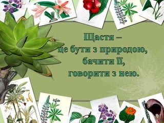 догляд  за кімнатними  рослинами