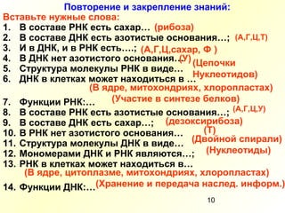 10
Повторение и закрепление знаний:
Вставьте нужные слова:
1. В составе РНК есть сахар…
2. В составе ДНК есть азотистые основания…;
3. И в ДНК, и в РНК есть….;
4. В ДНК нет азотистого основания…
5. Структура молекулы РНК в виде…
6. ДНК в клетках может находиться в …
7. Функции РНК:…
8. В составе РНК есть азотистые основания…;
9. В составе ДНК есть сахар…;
10. В РНК нет азотистого основания…
11. Структура молекулы ДНК в виде…
12. Мономерами ДНК и РНК являются…;
13. РНК в клетках может находиться в…
14. Функции ДНК:…
(рибоза)
(А,Г,Ц,Т)
(А,Г,Ц,сахар, Ф )
(У)(Цепочки
Нуклеотидов)
(В ядре, митохондриях, хлоропластах)
(Участие в синтезе белков)
(А,Г,Ц,У)
(дезоксирибоза)
(Т)
(Двойной спирали)
(Нуклеотиды)
(В ядре, цитоплазме, митохондриях, хлоропластах)
(Хранение и передача наслед. информ.)
 