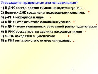 11
Утверждения правильные или неправильные?
1) В ДНК всегда против тимина находится гуанин. -
2) Цепочки ДНК соединены водородными связями. +
3) р-РНК находятся в ядре. -
4) в ДНК нет азотистого основания урацил. +
5) в ДНК число гуаниловых оснований равно адениловым
-
6) В РНК всегда против аденина находится тимин -
7) т-РНК находятся в цитоплазме. +
8) в РНК нет азотистого основания урацил. -
 