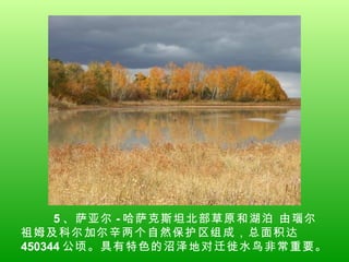 5 、萨亚尔 - 哈萨克斯坦北部草原和湖泊 由瑙尔祖姆及科尔加尔辛两个自然保护区组成，总面积达 450344 公顷。具有特色的沼泽地对迁徙水鸟非常重要。  