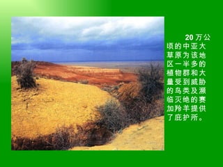 20 万公顷的中亚大草原为该地区一半多的植物群和大量受到威胁的鸟类及濒临灭绝的赛加羚羊提供了庇护所。  