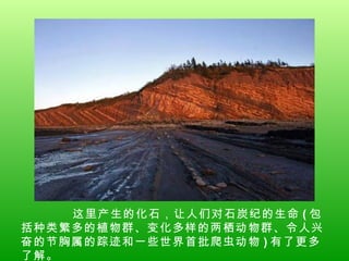 这里产生的化石，让人们对石炭纪的生命 ( 包括种类繁多的植物群、变化多样的两栖动物群、令人兴奋的节胸属的踪迹和一些世界首批爬虫动物 ) 有了更多了解。  