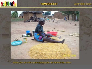 “KIMBÓPOLIS” Arqtº Ilídio Daio
Selecção do milho para produção da farinha de milho
 