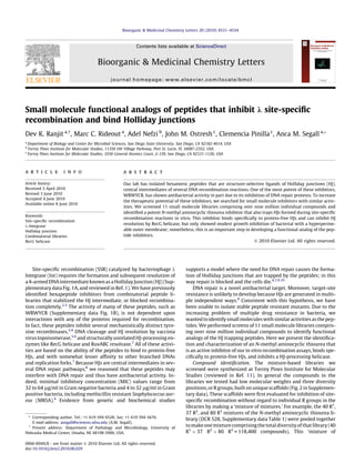 Small molecule functional analogs of peptides that inhibit k site-speciﬁc
recombination and bind Holliday junctions
Dev K. Ranjit a, 
, Marc C. Rideout a
, Adel Nefzi b
, John M. Ostresh c
, Clemencia Pinilla c
, Anca M. Segall a,*
a
Department of Biology and Center for Microbial Sciences, San Diego State University, San Diego, CA 92182-4614, USA
b
Torrey Pines Institute for Molecular Studies, 11350 SW Village Parkway, Port St. Lucie, FL 34987-2352, USA
c
Torrey Pines Institute for Molecular Studies, 3550 General Atomics Court, 2-129, San Diego, CA 92121-1120, USA
a r t i c l e i n f o
Article history:
Received 5 April 2010
Revised 3 June 2010
Accepted 4 June 2010
Available online 8 June 2010
Keywords:
Site-speciﬁc recombination
k-Integrase
Holliday junction
Combinatorial libraries
RecG helicase
a b s t r a c t
Our lab has isolated hexameric peptides that are structure-selective ligands of Holliday junctions (HJ),
central intermediates of several DNA recombination reactions. One of the most potent of these inhibitors,
WRWYCR, has shown antibacterial activity in part due to its inhibition of DNA repair proteins. To increase
the therapeutic potential of these inhibitors, we searched for small molecule inhibitors with similar activ-
ities. We screened 11 small molecule libraries comprising over nine million individual compounds and
identiﬁed a potent N-methyl aminocyclic thiourea inhibitor that also traps HJs formed during site-speciﬁc
recombination reactions in vitro. This inhibitor binds speciﬁcally to protein-free HJs and can inhibit HJ
resolution by RecG helicase, but only showed modest growth inhibition of bacterial with a hyperperme-
able outer membrane; nonetheless, this is an important step in developing a functional analog of the pep-
tide inhibitors.
Ó 2010 Elsevier Ltd. All rights reserved.
Site-speciﬁc recombination (SSR) catalyzed by bacteriophage k
Integrase (Int) requires the formation and subsequent resolution of
a4-armedDNAintermediateknownas aHollidayJunction(HJ)(Sup-
plementary data Fig. 1A, and reviewed in Ref. 1). We have previously
identiﬁed hexapeptide inhibitors from combinatorial peptide li-
braries that stabilized the HJ intermediate, or blocked recombina-
tion completely.2,3
The activity of many of these peptides, such as
WRWYCR (Supplementary data Fig. 1B), is not dependent upon
interactions with any of the proteins required for recombination.
In fact, these peptides inhibit several mechanistically distinct tyro-
sine recombinases,3,4
DNA cleavage and HJ resolution by vaccinia
virus topoisomerase,5,6
and structurally unrelated HJ-processing en-
zymes like RecG helicase and RuvABC resolvase.7
All of these activi-
ties are based on the ability of the peptides to bind to protein-free
HJs, and with somewhat lesser afﬁnity to other branched DNAs
and replication forks.7
Because HJs are central intermediates in sev-
eral DNA repair pathways,8
we reasoned that these peptides may
interfere with DNA repair and thus have antibacterial activity. In-
deed, minimal inhibitory concentration (MIC) values range from
32 to 64 lg/ml in Gram negative bacteria and 4 to 32 lg/ml in Gram
positive bacteria, including methicillin resistant Staphylococcus aur-
eus (MRSA).4
Evidence from genetic and biochemical studies
supports a model where the need for DNA repair causes the forma-
tion of Holliday junctions that are trapped by the peptides; in this
way repair is blocked and the cells die.4,7,9,10
DNA repair is a novel antibacterial target. Moreover, target-site
resistance is unlikely to develop because HJs are generated in multi-
ple independent ways.8
Consistent with this hypothesis, we have
been unable to isolate stable peptide resistant mutants. Due to the
increasing problem of multiple drug resistance in bacteria, we
wantedtoidentifysmall molecules with similaractivitiesas the pep-
tides. We performed screens of 11 small molecule libraries compris-
ing over nine million individual compounds to identify functional
analogs of the HJ trapping peptides. Here we present the identiﬁca-
tion and characterization of an N-methyl aminocyclic thiourea that
is an active inhibitor of our in vitro recombination assays, binds spe-
ciﬁcally to protein-free HJs, and inhibits a HJ-processing helicase.
Compound identiﬁcation. The mixture-based libraries we
screened were synthesized at Torrey Pines Institute for Molecular
Studies (reviewed in Ref. 11). In general the compounds in the
libraries we tested had low molecular weights and three diversity
positions, or R groups, built on unique scaffolds (Fig. 2 in Supplemen-
tary data). These scaffolds were ﬁrst evaluated for inhibition of site-
speciﬁc recombination without regard to individual R groups in the
libraries by making a ‘mixture of mixtures.’ For example, the 40 R1
,
37 R2
, and 80 R3
mixtures of the N-methyl aminocyclic thiourea li-
brary (DCR 528, Supplementary data Table 1) were pooled together
to make one mixture comprisingthe total diversityof that library (40
R1
Â 37 R2
Â 80 R3
= 118,400 compounds). This ‘mixture of
0960-894X/$ - see front matter Ó 2010 Elsevier Ltd. All rights reserved.
doi:10.1016/j.bmcl.2010.06.029
* Corresponding author. Tel.: +1 619 594 6528; fax: +1 619 594 5676.
E-mail address: asegall@sciences.sdsu.edu (A.M. Segall).
 
Present address: Department of Pathology and Microbiology, University of
Nebraska Medical Center, Omaha, NE 68198-5900, USA.
Bioorganic & Medicinal Chemistry Letters 20 (2010) 4531–4534
Contents lists available at ScienceDirect
Bioorganic & Medicinal Chemistry Letters
journal homepage: www.elsevier.com/locate/bmcl
 