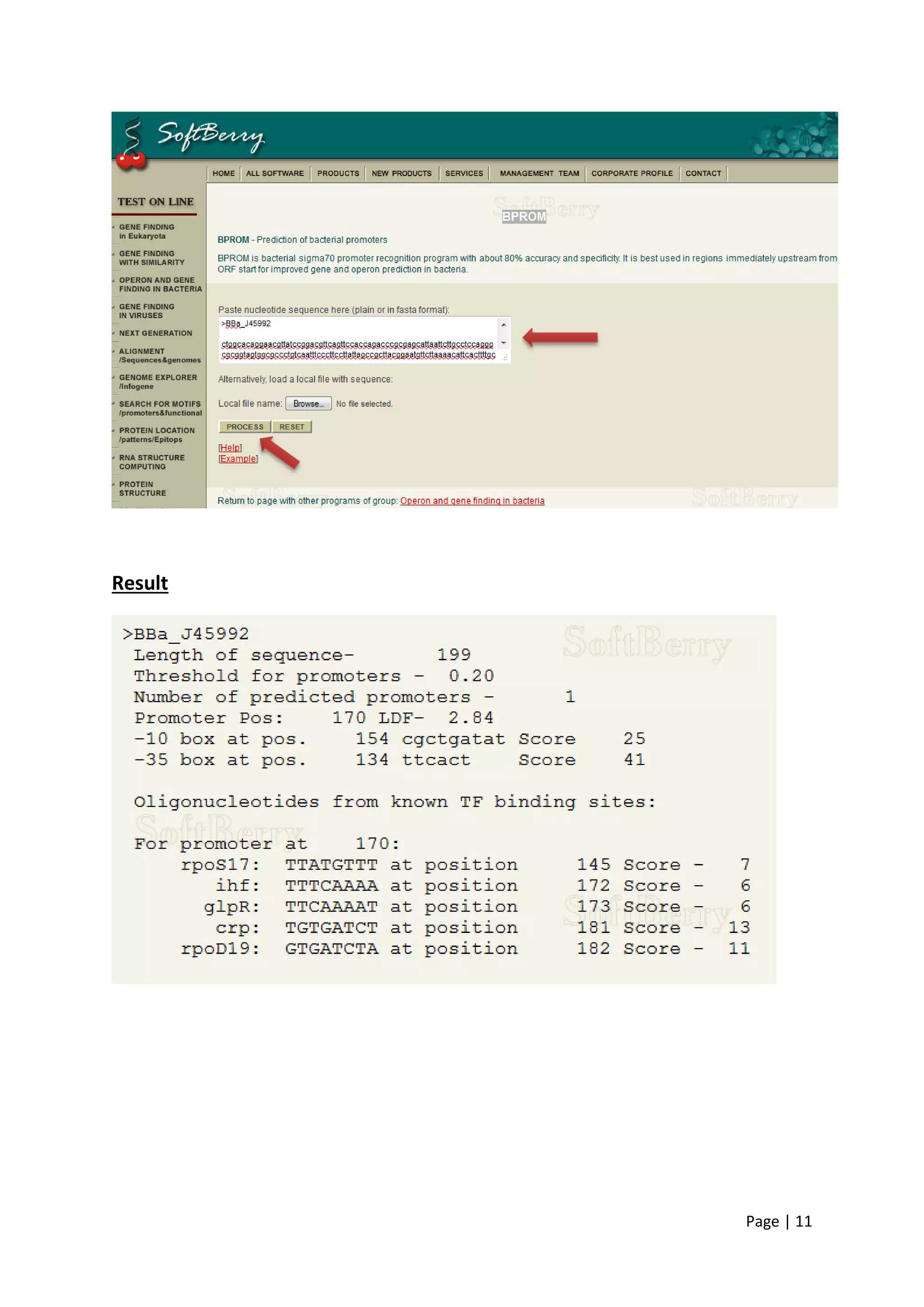 Page | 11
Result
 