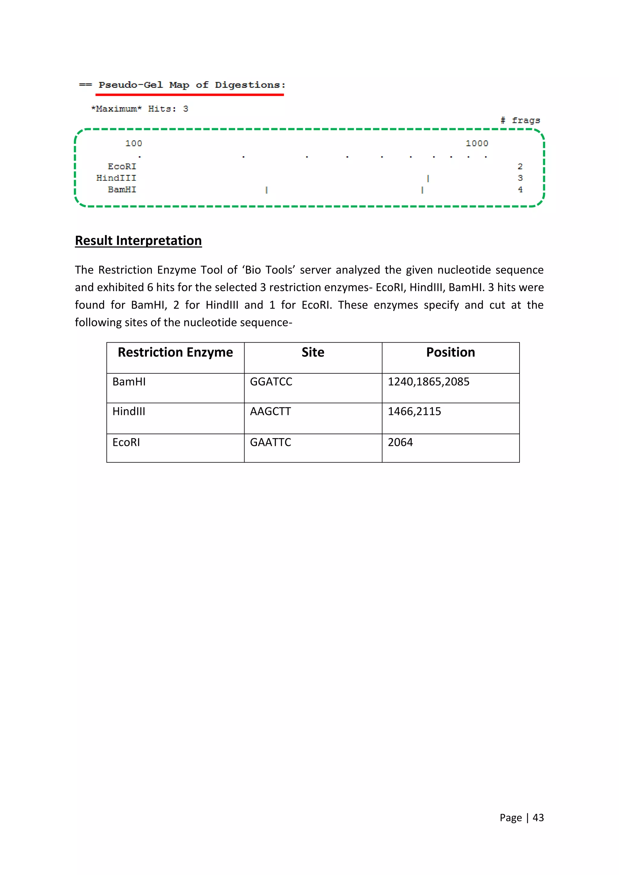 Page | 43
Result Interpretation
The Restriction Enzyme Tool of ‘Bio Tools’ server analyzed the given nucleotide sequence
and exhibited 6 hits for the selected 3 restriction enzymes- EcoRI, HindIII, BamHI. 3 hits were
found for BamHI, 2 for HindIII and 1 for EcoRI. These enzymes specify and cut at the
following sites of the nucleotide sequence-
Restriction Enzyme Site Position
BamHI GGATCC 1240,1865,2085
HindIII AAGCTT 1466,2115
EcoRI GAATTC 2064
 