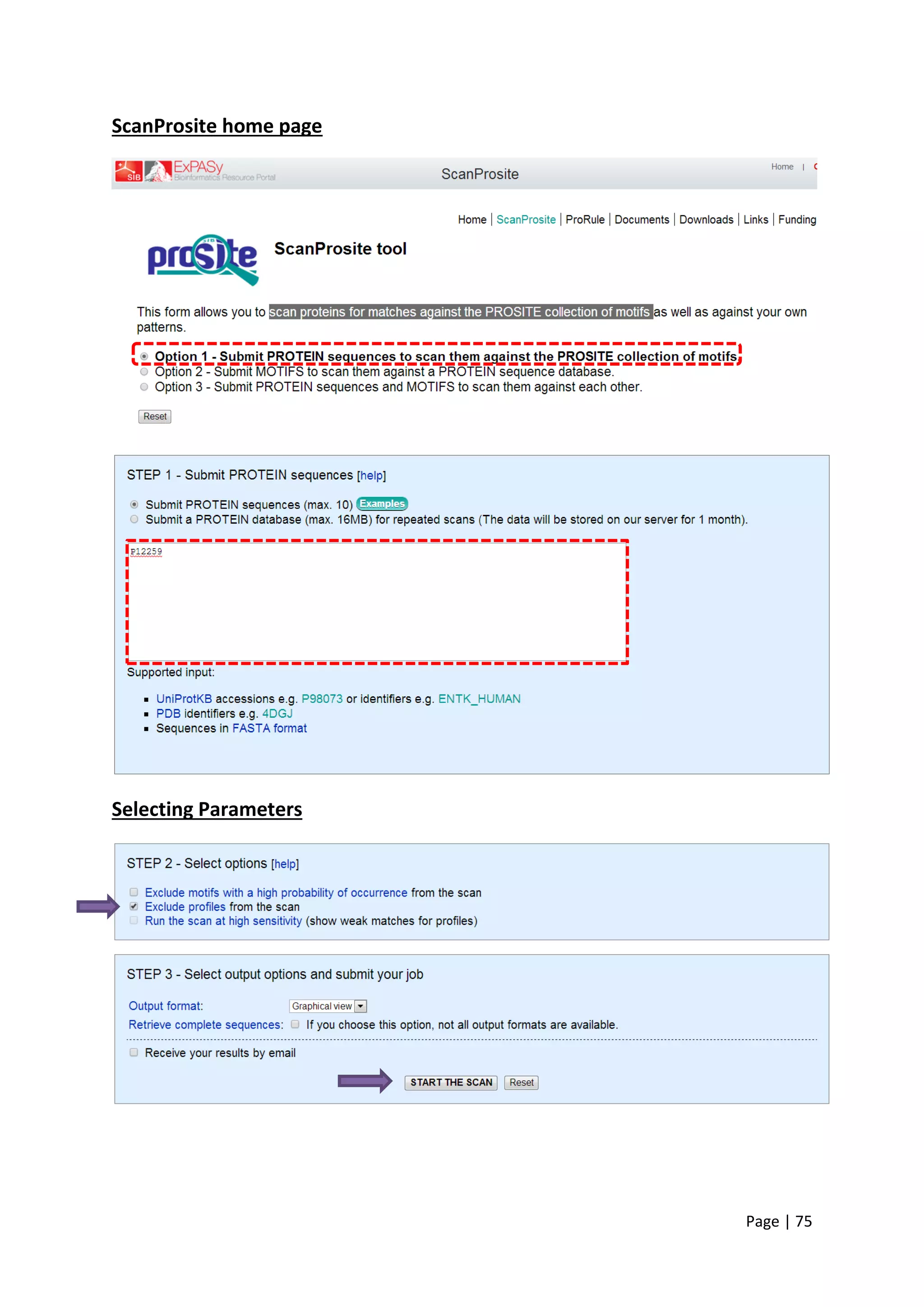 Page | 75
ScanProsite home page
Selecting Parameters
 