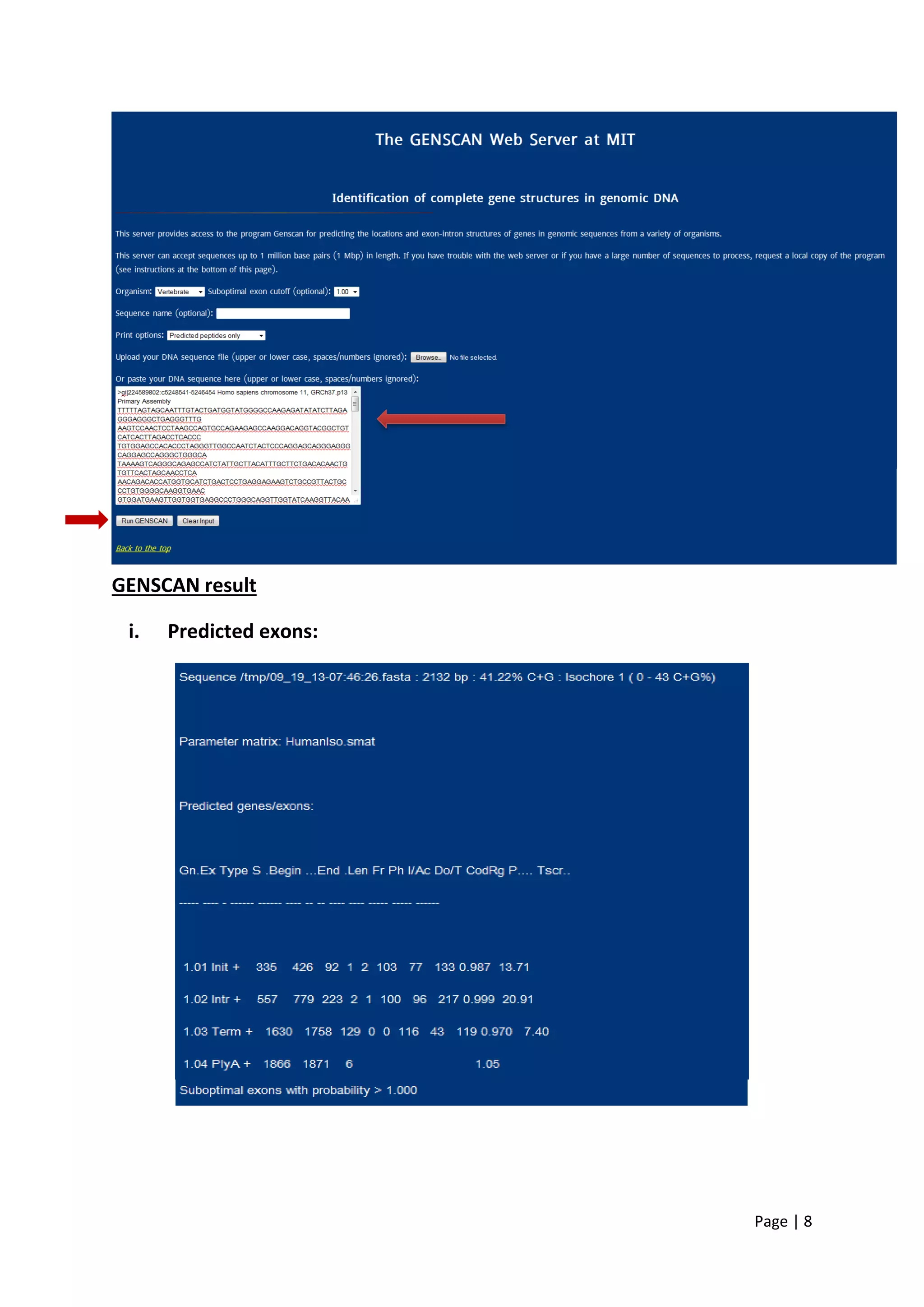 Page | 8
GENSCAN result
i. Predicted exons:
 