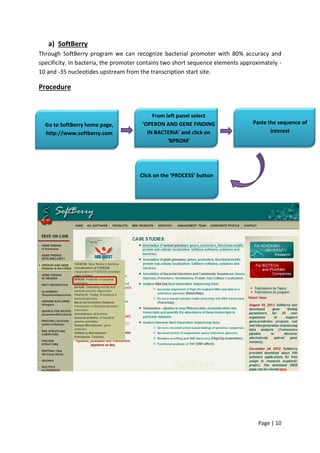 Page | 10
a) SoftBerry
Through SoftBerry program we can recognize bacterial promoter with 80% accuracy and
specificity. In bacteria, the promoter contains two short sequence elements approximately -
10 and -35 nucleotides upstream from the transcription start site.
Procedure

Go to SoftBerry home page,
http://www.softberry.com
From left panel select
‘OPERON AND GENE FINDING
IN BACTERIA’ and click on
‘BPROM’
Paste the sequence of
interest
Click on the ‘PROCESS’ button
 
