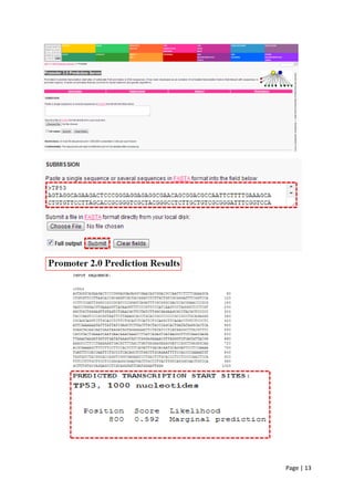 Page | 13
 