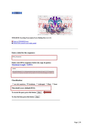 Page | 29
 