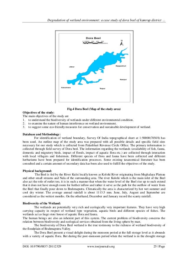 Fragment of an analysis of a case of hysteria summary picture