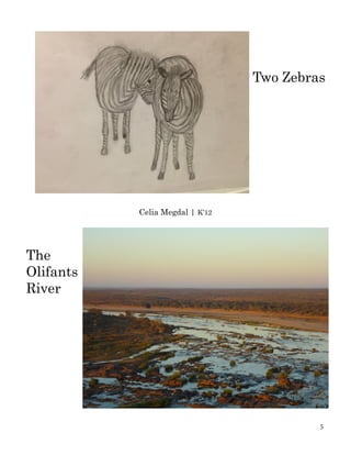 Two Zebras	
			
The
Olifants
River
Celia Megdal | K’12
5
 