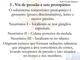 3 - Via de pressão e tato protopático
O subsistema somestésico protopático é
grosseiro (pouco discriminativo), lento e
menos preciso.
Neurônios I – localizam-se nos gânglios
espinhais.
Neurônios II – Coluna posterior da medula.
Neurônios III – localizam-se no tálamo.
Originam axônios que formam radiações talâmicas
que atingem a área somestésica do córtex,
levando receptores de pressão e tato situados
no tronco e nos membros.
Profª Viviane Marques
 