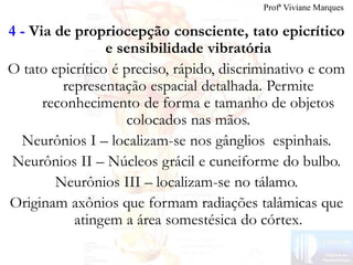 4 - Via de propriocepção consciente, tato epicrítico
e sensibilidade vibratória
O tato epicrítico é preciso, rápido, discriminativo e com
representação espacial detalhada. Permite
reconhecimento de forma e tamanho de objetos
colocados nas mãos.
Neurônios I – localizam-se nos gânglios espinhais.
Neurônios II – Núcleos grácil e cuneiforme do bulbo.
Neurônios III – localizam-se no tálamo.
Originam axônios que formam radiações talâmicas que
atingem a área somestésica do córtex.
Profª Viviane Marques
 