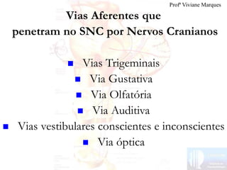 Vias Aferentes que
penetram no SNC por Nervos Cranianos
 Vias Trigeminais
 Via Gustativa
 Via Olfatória
 Via Auditiva
 Vias vestibulares conscientes e inconscientes
 Via óptica
Profª Viviane Marques
 