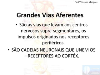 Grandes Vias Aferentes
• São as vias que levam aos centros
nervosos supra-segmentares, os
impulsos originados nos receptores
periféricos.
• SÃO CADEIAS NEURONAIS QUE UNEM OS
RECEPTORES AO CORTÉX.
Profª Viviane Marques
 