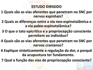 ESTUDO DIRIGIDO
1 Quais são as vias aferentes que penetram no SNC por
nervos espinhais?
2 Quais as diferenças entre a via neo-espinotalâmica e
a via paleo-espinotalâmica?
3 O que o tato epicrítico e a propriocepção consciente
permitem ao indivíduo?
4 Quais são as vias aferentes que penetram no SNC por
nervos cranianos?
6 Explique sinteticamente a regulação da dor, o porquê
da acupuntura ter fundamento.
7 Qual a função das vias de propriocepção consciente?
 
