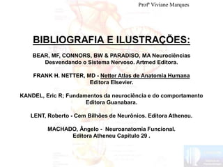 BIBLIOGRAFIA E ILUSTRAÇÕES:
BEAR, MF, CONNORS, BW & PARADISO, MA Neurociências
Desvendando o Sistema Nervoso. Artmed Editora.
FRANK H. NETTER, MD - Netter Atlas de Anatomia Humana
Editora Elsevier.
KANDEL, Eric R; Fundamentos da neurociência e do comportamento
Editora Guanabara.
LENT, Roberto - Cem Bilhões de Neurônios. Editora Atheneu.
MACHADO, Ângelo - Neuroanatomia Funcional.
Editora Atheneu Capítulo 29 .
Profª Viviane Marques
 