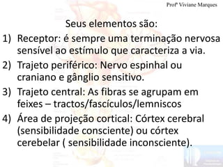 Seus elementos são:
1) Receptor: é sempre uma terminação nervosa
sensível ao estímulo que caracteriza a via.
2) Trajeto periférico: Nervo espinhal ou
craniano e gânglio sensitivo.
3) Trajeto central: As fibras se agrupam em
feixes – tractos/fascículos/lemniscos
4) Área de projeção cortical: Córtex cerebral
(sensibilidade consciente) ou córtex
cerebelar ( sensibilidade inconsciente).
Profª Viviane Marques
 