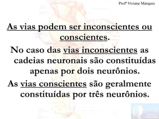 As vias podem ser inconscientes ou
conscientes.
No caso das vias inconscientes as
cadeias neuronais são constituídas
apenas por dois neurônios.
As vias conscientes são geralmente
constituídas por três neurônios.
Profª Viviane Marques
 