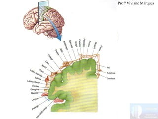 Profª Viviane Marques
 