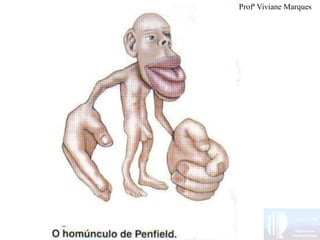 Profª Viviane Marques
 