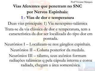 Vias Aferentes que penetram no SNC
por Nervos Espinhais:
1 - Vias de dor e temperatura
Duas vias principais: 1) Via neoespino-talâmica
Trata-se da via clássica de dor e temperatura, tem a
característica da dor ser localizada do tipo dor em
pontada.
Neurônios I – Localizam-se nos gânglios espinhais.
Neurônios II – Coluna posterior da medula.
Neurônios III – tálamo, seus axônios formam
radiações talâmicas q pela cápsula interna e coroa
radiada, chegam a área somestésica.
Profª Viviane Marques
 