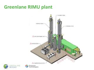 Greenlane RIMU plant
 