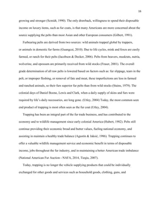 16
growing and stronger (Scmidt, 1990). The only drawback, willingness to spend their disposable
income on luxury items, such as fur coats, is that many Americans are more concerned about the
source supplying the pelts than most Asian and other European consumers (Gilbert, 1991).
Furbearing pelts are derived from two sources: wild animals trapped global by trappers,
or animals in domestic fur farms (Guangcai, 2010). Due to life cycles, mink and foxes are easily
farmed, or ranch for their pelts (Jacobson & Decker, 2006). Pelts from beavers, muskrats, nutria,
wolverine, and opossum are primarily received from wild stocks (Fraser, 2001). The overall
grade determination of all raw pelts is lowered based on factors such as: fur slippage, tears in the
pelt, or improper fleshing, or removal of fate and meat, these imperfections are less in farmed
and ranched animals, so their furs superior fur pelts than from wild stocks (Stains, 1979). The
colonial days of Daniel Boone, Lewis and Clark, when a daily supply of skins and furs were
required by life’s daily necessaries, are long gone. (Utley, 2004) Today, the most common seen
end product of trapping is most often seen as the fur coat (Utley, 2004).
Trapping has been an integral part of the fur trade business, and has contributed to the
economy and to wildlife management since early colonial America (Hubert, 1982). Pelts still
continue providing their economic bread and butter values, fueling national economy, and
assisting in maintain a healthy trade balance (Agustín & Jaksić, 1986). Trapping continues to
offer a valuable wildlife management service and economic benefit in terms of disposable
income, jobs throughout the fur industry, and in maintaining a better American trade imbalance
(National American Fur Auction - NAFA, 2014, Tieqiu, 2007).
Today, trapping is no longer the vehicle supplying products that could be individually
exchanged for other goods and services such as household goods, clothing, guns, and
 