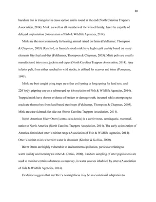 40
baculum that is triangular in cross section and is round at the end (North Carolina Trappers
Association, 2014). Mink, as well as all members of the weasel family, have the capable of
delayed implantation (Association of Fish & Wildlife Agencies, 2014).
Mink are the most commonly furbearing animal raised on farms (Feldhamer, Thompson
& Chapman, 2003). Ranched, or farmed raised mink have higher pelt quality based on many
elements like feed and diet (Feldhamer, Thompson & Chapman, 2003). Mink pelts are usually
manufactured into coats, jackets and capes (North Carolina Trappers Association, 2014). Any
inferior pelt, from either ranched or wild stocks, is utilized for scarves and trims (Pomeranz,
1999).
Mink are best caught using traps are either coil spring or long spring for land sets, and
220 body gripping trap as a submerged set (Association of Fish & Wildlife Agencies, 2014).
Trapped mink have shown evidence of broken or damage teeth, incurred while attempting to
eradicate themselves from land based steel traps (Feldhamer, Thompson & Chapman, 2003).
Mink are case skinned, fur side out (North Carolina Trappers Association, 2014).
North American River Otter (Lontra canadensis) is a carnivorous, semiaquatic, mammal,
native to North America (North Carolina Trappers Association, 2014). The early colonization of
America diminished otter’s habitat range (Association of Fish & Wildlife Agencies, 2014).
Otter’s habitat exists wherever water is abundant (Kimber & Kollias, 2000).
River Otters are highly vulnerable to environmental pollution, particular relating to
water quality and mercury (Kimber & Kollias, 2000). Random sampling of otter populations are
used to monitor certain substances as mercury, in water courses inhabited by otters (Association
of Fish & Wildlife Agencies, 2014).
Evidence suggests that an Otter’s nearsightness may be an evolutional adaptation to
 