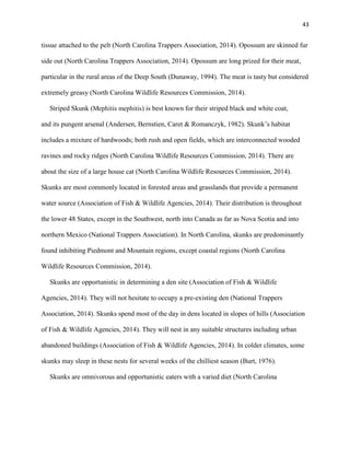 43
tissue attached to the pelt (North Carolina Trappers Association, 2014). Opossum are skinned fur
side out (North Carolina Trappers Association, 2014). Opossum are long prized for their meat,
particular in the rural areas of the Deep South (Dunaway, 1994). The meat is tasty but considered
extremely greasy (North Carolina Wildlife Resources Commission, 2014).
Striped Skunk (Mephitis mephitis) is best known for their striped black and white coat,
and its pungent arsenal (Andersen, Bernstien, Caret & Romanczyk, 1982). Skunk’s habitat
includes a mixture of hardwoods; both rush and open fields, which are interconnected wooded
ravines and rocky ridges (North Carolina Wildlife Resources Commission, 2014). There are
about the size of a large house cat (North Carolina Wildlife Resources Commission, 2014).
Skunks are most commonly located in forested areas and grasslands that provide a permanent
water source (Association of Fish & Wildlife Agencies, 2014). Their distribution is throughout
the lower 48 States, except in the Southwest, north into Canada as far as Nova Scotia and into
northern Mexico (National Trappers Association). In North Carolina, skunks are predominantly
found inhibiting Piedmont and Mountain regions, except coastal regions (North Carolina
Wildlife Resources Commission, 2014).
Skunks are opportunistic in determining a den site (Association of Fish & Wildlife
Agencies, 2014). They will not hesitate to occupy a pre-existing den (National Trappers
Association, 2014). Skunks spend most of the day in dens located in slopes of hills (Association
of Fish & Wildlife Agencies, 2014). They will nest in any suitable structures including urban
abandoned buildings (Association of Fish & Wildlife Agencies, 2014). In colder climates, some
skunks may sleep in these nests for several weeks of the chilliest season (Burt, 1976).
Skunks are omnivorous and opportunistic eaters with a varied diet (North Carolina
 