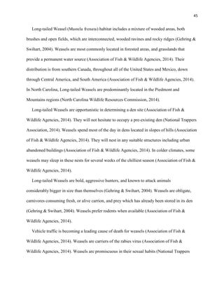 45
Long-tailed Weasel (Mustela frenata) habitat includes a mixture of wooded areas, both
brushes and open fields, which are interconnected, wooded ravines and rocky ridges (Gehring &
Swihart, 2004). Weasels are most commonly located in forested areas, and grasslands that
provide a permanent water source (Association of Fish & Wildlife Agencies, 2014). Their
distribution is from southern Canada, throughout all of the United States and Mexico, down
through Central America, and South America (Association of Fish & Wildlife Agencies, 2014).
In North Carolina, Long-tailed Weasels are predominantly located in the Piedmont and
Mountains regions (North Carolina Wildlife Resources Commission, 2014).
Long-tailed Weasels are opportunistic in determining a den site (Association of Fish &
Wildlife Agencies, 2014). They will not hesitate to occupy a pre-existing den (National Trappers
Association, 2014). Weasels spend most of the day in dens located in slopes of hills (Association
of Fish & Wildlife Agencies, 2014). They will nest in any suitable structures including urban
abandoned buildings (Association of Fish & Wildlife Agencies, 2014). In colder climates, some
weasels may sleep in these nests for several weeks of the chilliest season (Association of Fish &
Wildlife Agencies, 2014).
Long-tailed Weasels are bold, aggressive hunters, and known to attack animals
considerably bigger in size than themselves (Gehring & Swihart, 2004). Weasels are obligate,
carnivores consuming fresh, or alive carrion, and prey which has already been stored in its den
(Gehring & Swihart, 2004). Weasels prefer rodents when available (Association of Fish &
Wildlife Agencies, 2014).
Vehicle traffic is becoming a leading cause of death for weasels (Association of Fish &
Wildlife Agencies, 2014). Weasels are carriers of the rabies virus (Association of Fish &
Wildlife Agencies, 2014). Weasels are promiscuous in their sexual habits (National Trappers
 