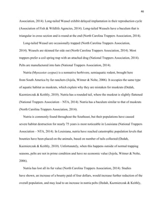 46
Association, 2014). Long-tailed Weasel exhibit delayed implantation in their reproduction cycle
(Association of Fish & Wildlife Agencies, 2014). Long-tailed Weasels have a baculum that is
triangular in cross section and is round at the end (North Carolina Trappers Association, 2014).
Long-tailed Weasel are occasionally trapped (North Carolina Trappers Association,
2014). Weasels are skinned fur side out (North Carolina Trappers Association, 2014). Most
trappers prefer a coil spring trap with an attached drag (National Trappers Association, 2014).
Pelts are manufactured into hats (National Trappers Association, 2014).
Nutria (Myocastor coypus) is a nonnative herbivore, semiaquatic rodent, brought here
from South America by fur ranchers (Jojola, Witmer & Nolte, 2006). It occupies the same type
of aquatic habitat as muskrats, which explain why they are mistaken for muskrats (Dedah,
Kazmierczak & Keithly, 2010). Nutria has a rounded tail, where the muskrat is slightly flattened
(National Trappers Association – NTA, 2014). Nutria has a baculum similar to that of muskrats
(North Carolina Trappers Association, 2014).
Nutria is commonly found throughout the Southeast, but their populations have caused
severe habitat destruction for nearly 75 years is most noticeable in Louisiana (National Trappers
Association – NTA, 2014). In Louisiana, nutria have reached catastrophic population levels that
bounties have been placed on the animals, based on number of tails collected (Dedah,
Kazmierczak & Keithly, 2010). Unfortunately, when this happens outside of normal trapping
seasons, pelts are not in prime condition and have no economic value (Jojola, Witmer & Nolte,
2006).
Nutria has lost all its fur value (North Carolina Trappers Association, 2014). Studies
have shown, an increase of a bounty paid of four dollars, would increase further reduction of the
overall population, and may lead to an increase in nutria pelts (Dedah, Kazmierczak & Keithly,
 