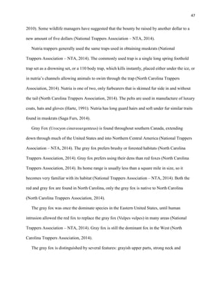 47
2010). Some wildlife managers have suggested that the bounty be raised by another dollar to a
new amount of five dollars (National Trappers Association – NTA, 2014).
Nutria trappers generally used the same traps used in obtaining muskrats (National
Trappers Association – NTA, 2014). The commonly used trap is a single long spring foothold
trap set as a drowning set, or a 110 body trap, which kills instantly, placed either under the ice, or
in nutria’s channels allowing animals to swim through the trap (North Carolina Trappers
Association, 2014). Nutria is one of two, only furbearers that is skinned fur side in and without
the tail (North Carolina Trappers Association, 2014). The pelts are used in manufacture of luxury
coats, hats and gloves (Harte, 1991). Nutria has long guard hairs and soft under fur similar traits
found in muskrats (Saga Furs, 2014).
Gray Fox (Urocyon cinereoargenteus) is found throughout southern Canada, extending
down through much of the United States and into Northern Central America (National Trappers
Association – NTA, 2014). The gray fox prefers brushy or forested habitats (North Carolina
Trappers Association, 2014). Gray fox prefers using their dens than red foxes (North Carolina
Trappers Association, 2014). Its home range is usually less than a square mile in size, so it
becomes very familiar with its habitat (National Trappers Association – NTA, 2014). Both the
red and gray fox are found in North Carolina, only the gray fox is native to North Carolina
(North Carolina Trappers Association, 2014).
The gray fox was once the dominate species in the Eastern United States, until human
intrusion allowed the red fox to replace the gray fox (Vulpes vulpes) in many areas (National
Trappers Association – NTA, 2014). Gray fox is still the dominant fox in the West (North
Carolina Trappers Association, 2014).
The gray fox is distinguished by several features: grayish upper parts, strong neck and
 