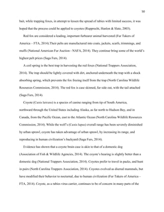 50
bait, while trapping foxes, in attempt to lessen the spread of rabies with limited success, it was
hoped that the process could be applied to coyotes (Rupprecht, Hanlon & Slate, 2003).
Red fox are considered a leading, important furbearer animal harvested (Fur Takers of
America – FTA, 2014).Their pelts are manufactured into coats, jackets, scarfs, trimmings, and
muffs (National American Fur Auction - NAFA, 2014). They continue bring some of the world’s
highest pelt prices (Saga Furs, 2014).
A coil spring is the best trap in harvesting the red foxes (National Trappers Association,
2014). The trap should be lightly covered with dirt, anchored underneath the trap with a shock
absorbing spring, which prevents the fox freeing itself from the trap (North Carolina Wildlife
Resources Commission, 2014). The red fox is case skinned, fur side out, with the tail attached
(Saga Furs, 2014).
Coyote (Canis latrans) is a species of canine ranging from tip of South America,
northward through the United States including Alaska, as far north to Hudson Bay, and in
Canada, from the Pacific Ocean, east to the Atlantic Ocean (North Carolina Wildlife Resources
Commission, 2014). While the wolf’s (Canis lupus) overall range has been severely diminished
by urban sprawl, coyote has taken advantage of urban sprawl, by increasing its range, and
reproducing in human civilization’s backyard (Saga Furs, 2014).
Evidence has shown that a coyote brain case is akin to that of a domestic dog
(Association of Fish & Wildlife Agencies, 2014). The coyote’s hearing is slightly better than a
domestic dog (National Trappers Association, 2014). Coyotes prefer to travel in packs, and hunt
in pairs (North Carolina Trappers Association, 2014). Coyotes evolved as diurnal mammals, but
have modified their behavior to nocturnal, due to human civilization (Fur Takers of America –
FTA, 2014). Coyote, as a rabies virus carrier, continues to be of concern in many parts of the
 