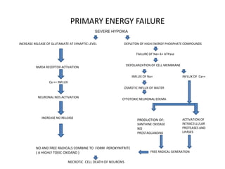 PRIMARY ENERGY FAILURE
SEVERE HYPOXIA
DEPLETON OF HIGH ENERGY PHOSPHATE COMPOUNDSINCREASE RELEASE OF GLUTAMATE AT SYNAPTIC LEVEL
FAILURE OF Na+-k+ ATPase
DEPOLARIZATION OF CELL MEMBRANE
INFLUX OF Na+ INFLUX OF Ca++
OSMOTIC INFLUX OF WATER
CYTOTOXIC NEURONAL EDEMA
ACTIVATION OF
INTRACELLULAR
PROTEASES AND
LIPASES
PRODUCTION OF:
XANTHINE OXIDASE
NO
PROSTAGLANDINS
FREE RADICAL GENERATION
NMDA RECEPTOR ACTIVATION
Ca ++ INFLUX
NEURONAL NOS ACTIVATION
INCREASE NO RELEASE
NO AND FREE RADICALS COMBINE TO FORM PEROXYNITRITE
( A HIGHLY TOXIC OXIDAND )
NECROTIC CELL DEATH OF NEURONS
 