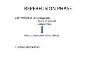 REPERFUSION PHASE
1.ACTIVATION OF : Cyclooxygenase
Xanthine oxidase
Lipoxygenase
INCREASE PRODUCTION OF FREE RADICAL
2. ACCUMULATION OF NO
 