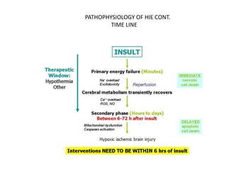 PATHOPHYSIOLOGY OF HIE CONT.
TIME LINE
 