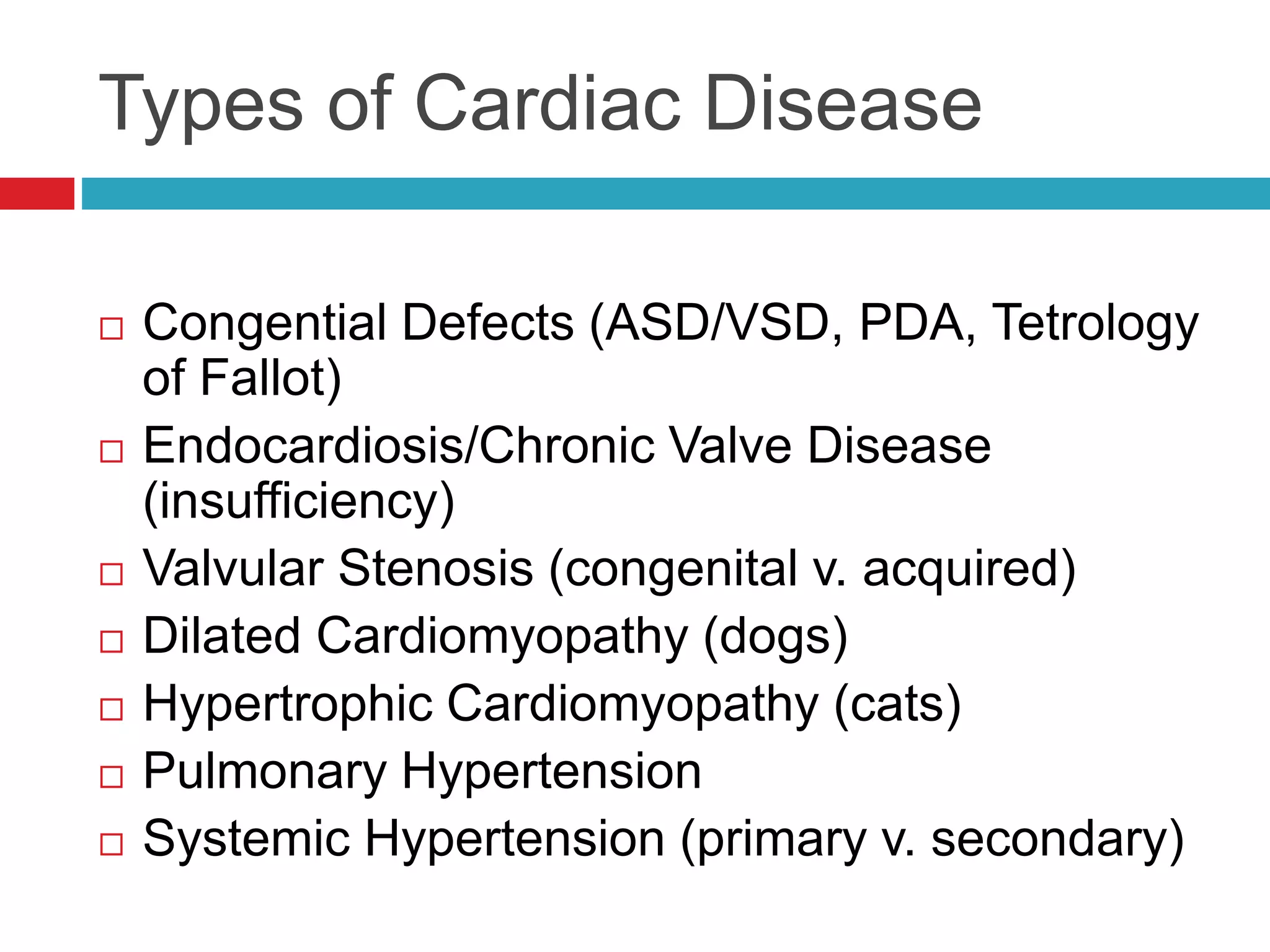 Types of Cardiac Disease
 Congential Defects (ASD/VSD, PDA, Tetrology
of Fallot)
 Endocardiosis/Chronic Valve Disease
(insufficiency)
 Valvular Stenosis (congenital v. acquired)
 Dilated Cardiomyopathy (dogs)
 Hypertrophic Cardiomyopathy (cats)
 Pulmonary Hypertension
 Systemic Hypertension (primary v. secondary)
 