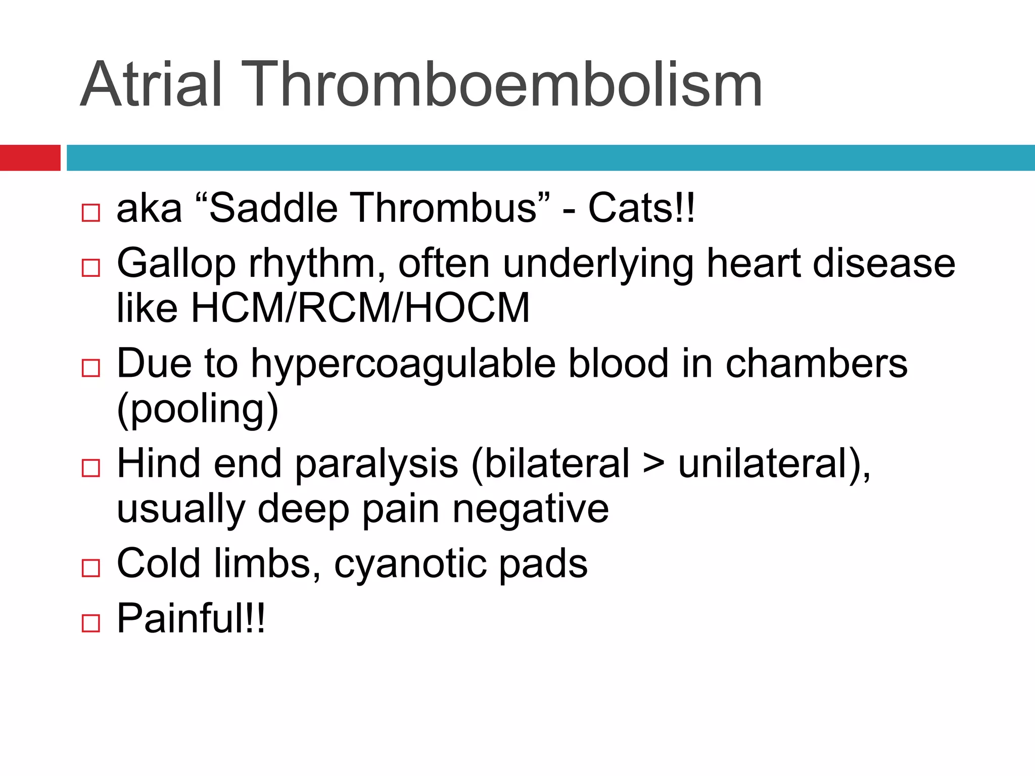 Atrial Thromboembolism
 aka “Saddle Thrombus” - Cats!!
 Gallop rhythm, often underlying heart disease
like HCM/RCM/HOCM
 Due to hypercoagulable blood in chambers
(pooling)
 Hind end paralysis (bilateral > unilateral),
usually deep pain negative
 Cold limbs, cyanotic pads
 Painful!!
 